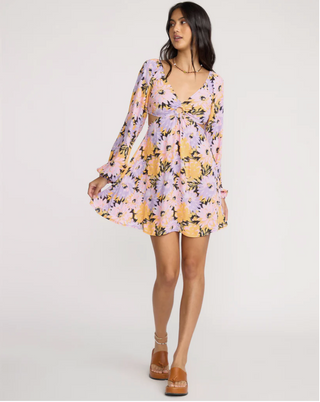 Last Call Mini Dress (BSD)