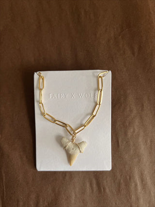 Shark tooth Necklace (Paperclip Chain)