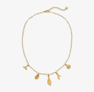 Chandler Shell Charm Necklace
