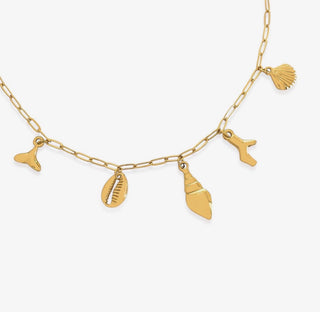 Chandler Shell Charm Necklace