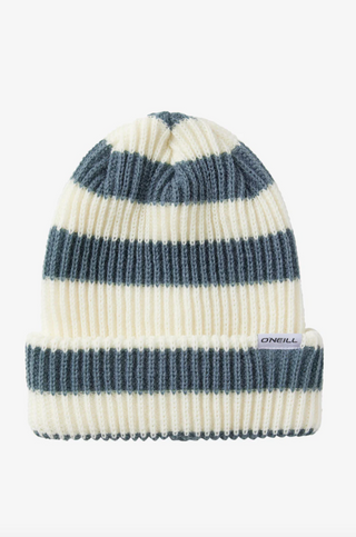 Market Stripe Beanie (SLT)