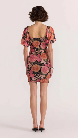 Yvaine Ruched Mesh Mini Dress (Apricot Floral)