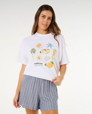 Beach Days Pinstripe Shorts (Dusty Blue) ONLINE EXCLUSIVE