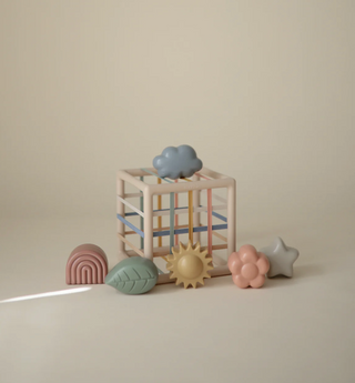 Elastic Shape Sorter