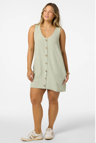 Sanders Mini Dress (DSG)
