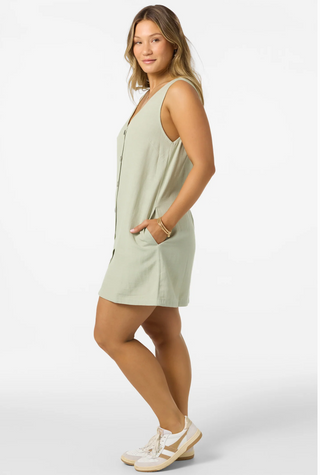 Sanders Mini Dress (DSG)