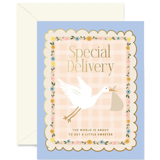 Stork Special Delivery Greeting Card