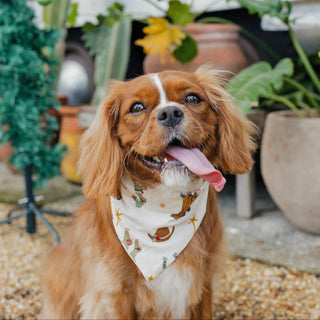 Cowboy Christmas Bamboo Pet Bandana